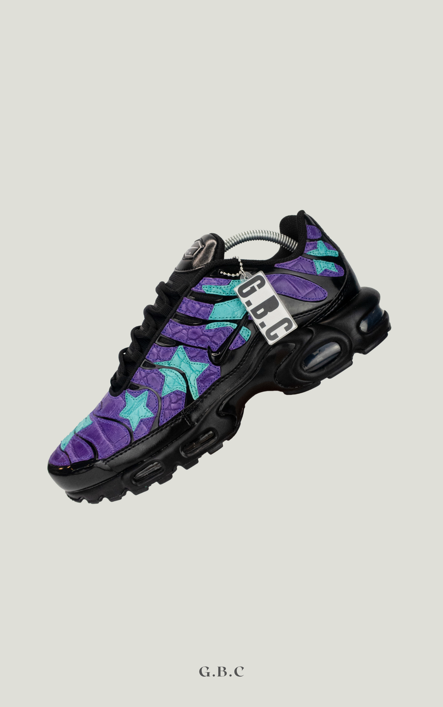 AIR MAX PLUS TN CUSTOM